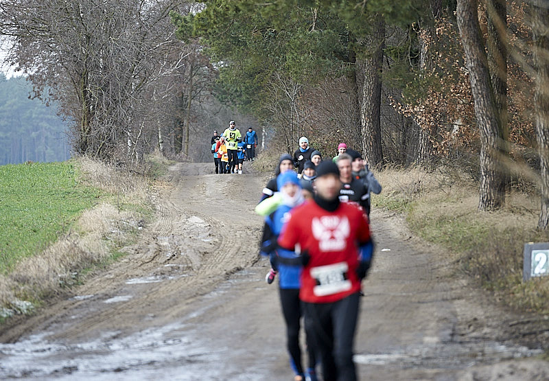 Bieg Lasem Babskim 2019, 19.01.2019, bieg, sport, las, fot.Grzegorz Gębala